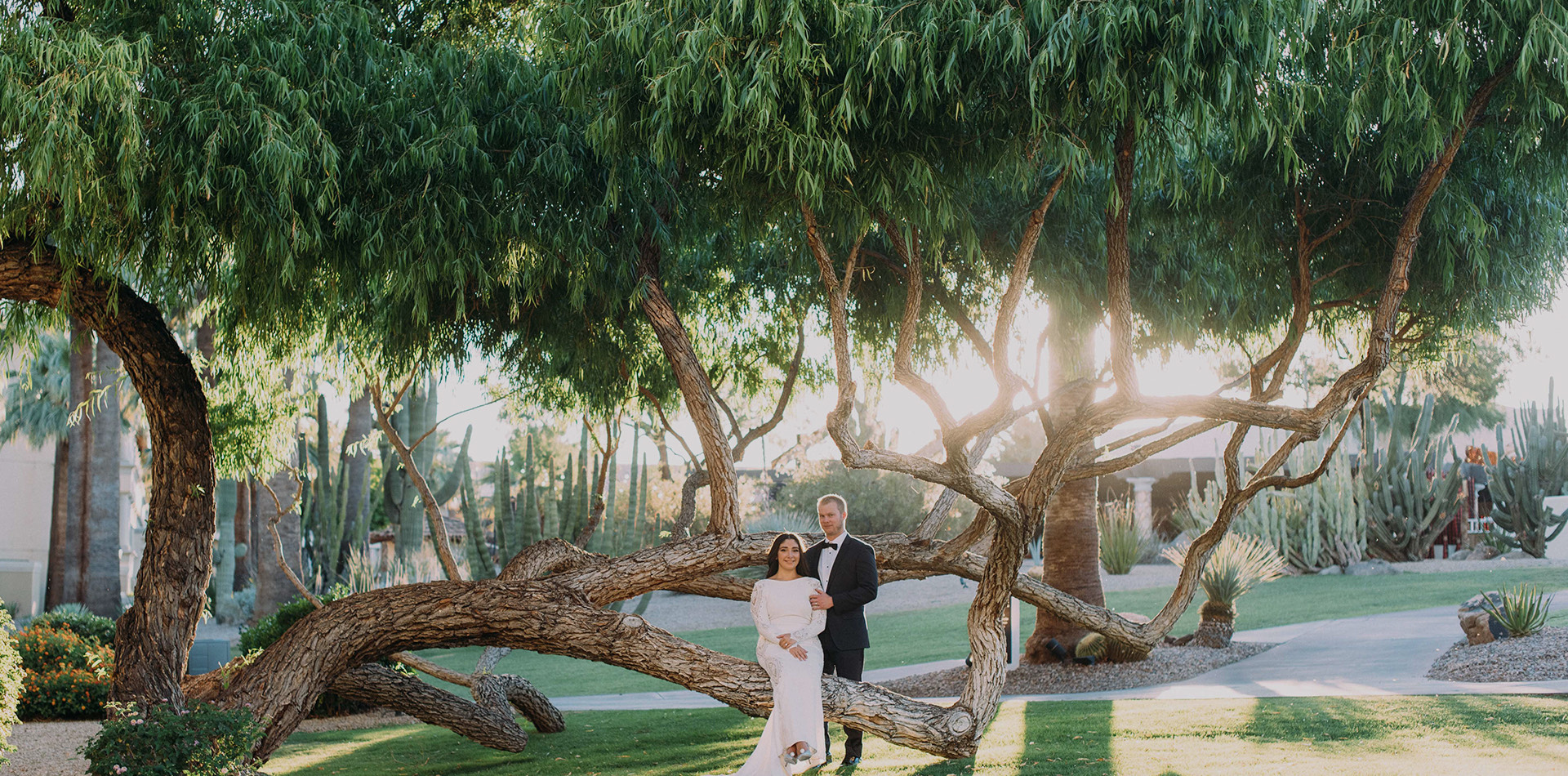 a bride and groom posing outdoor under an old tree with the sun shining behind them