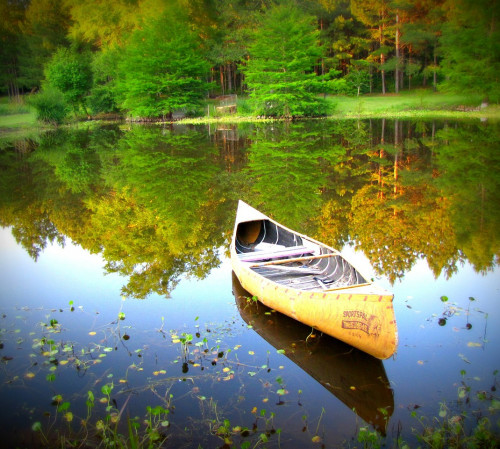Canoe on a lake
