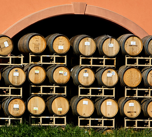 Rows of wine barrels outside next to green bush