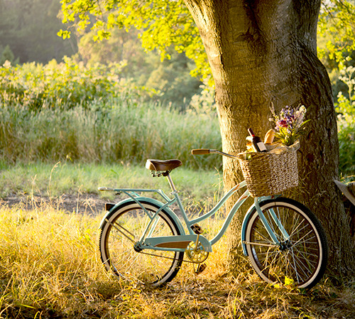 Blue bicycle with basket parked next to tree 