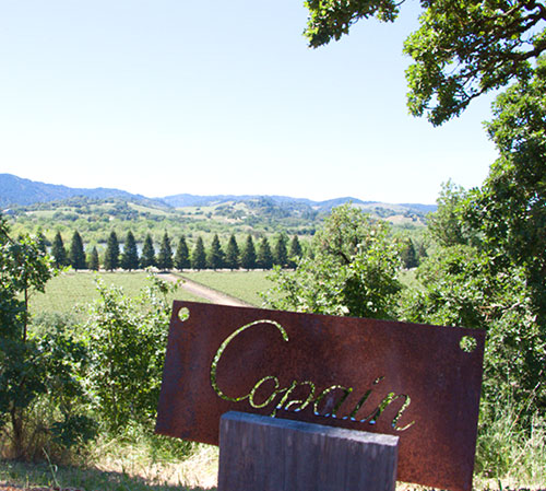 Entrance sign to Copain winery with vineyard in the back 