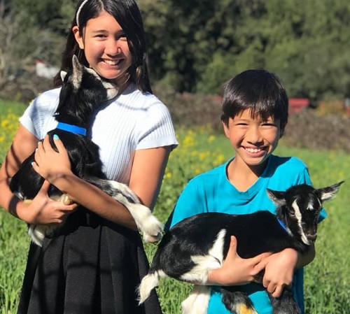 a boy and girl each holding goats-1