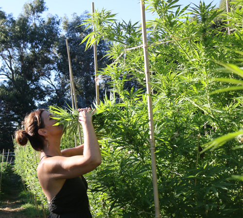 a woman smelling plants-1