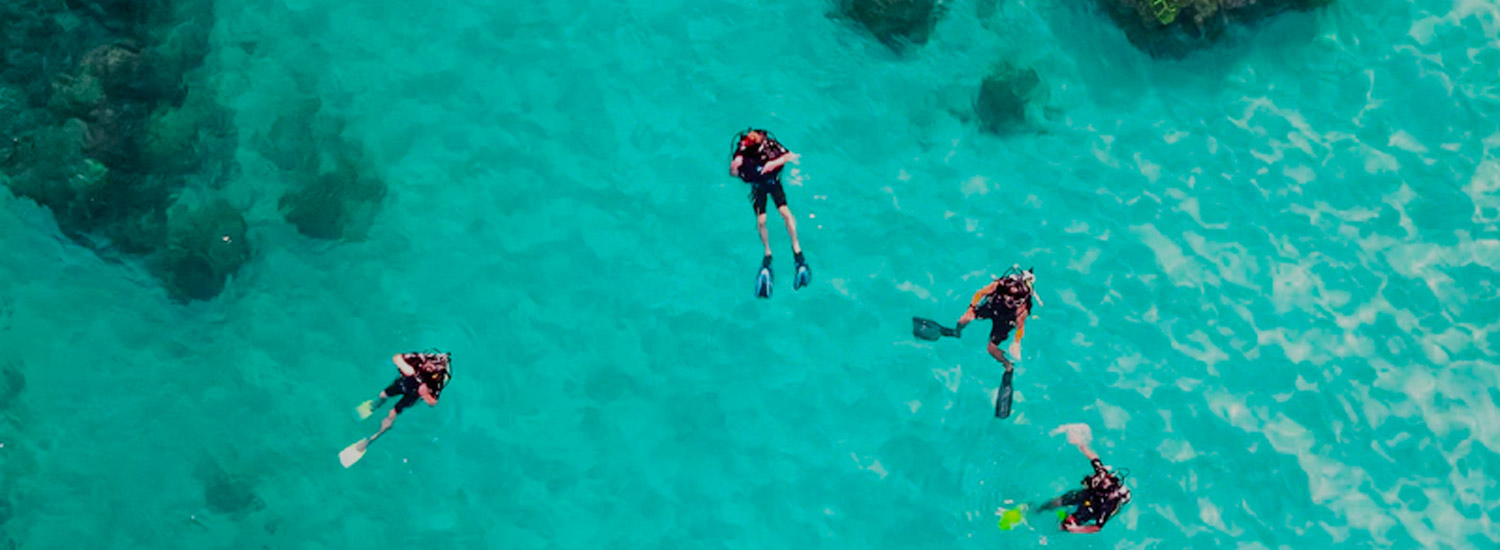 activities header