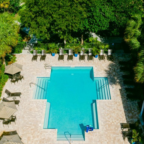 pool from aerial view