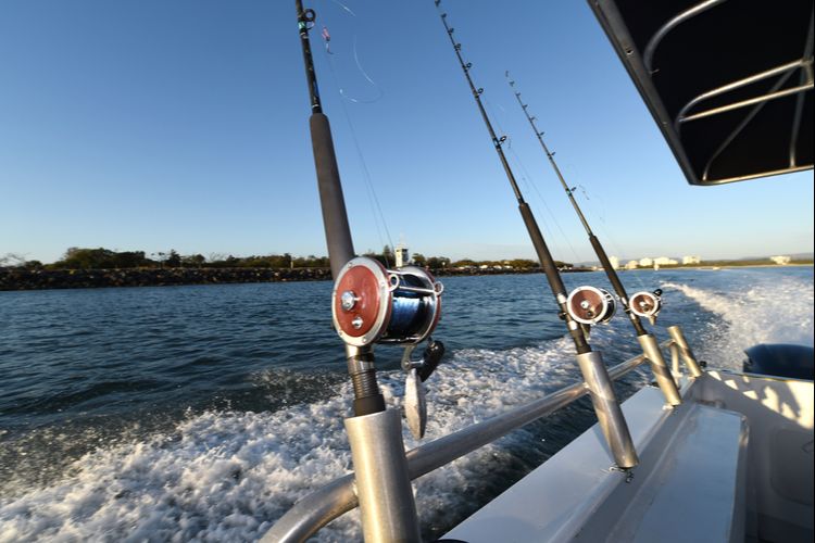 fishing poles on a charter boat