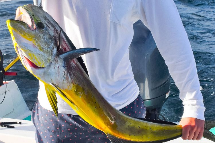 man catching a fish on a boat close up shot