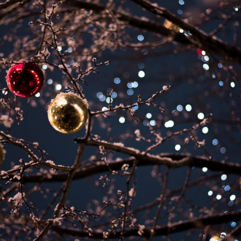 Tree without leaves covered with ice and snow with Christmas decorations and lights on it