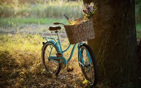 a blue bicycle parked next to a tree with a basket full of wine and flowers