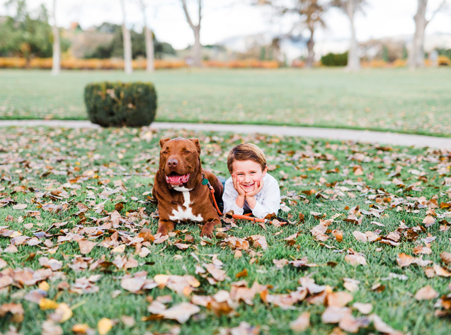 a little boy and brown dog laying in the grass