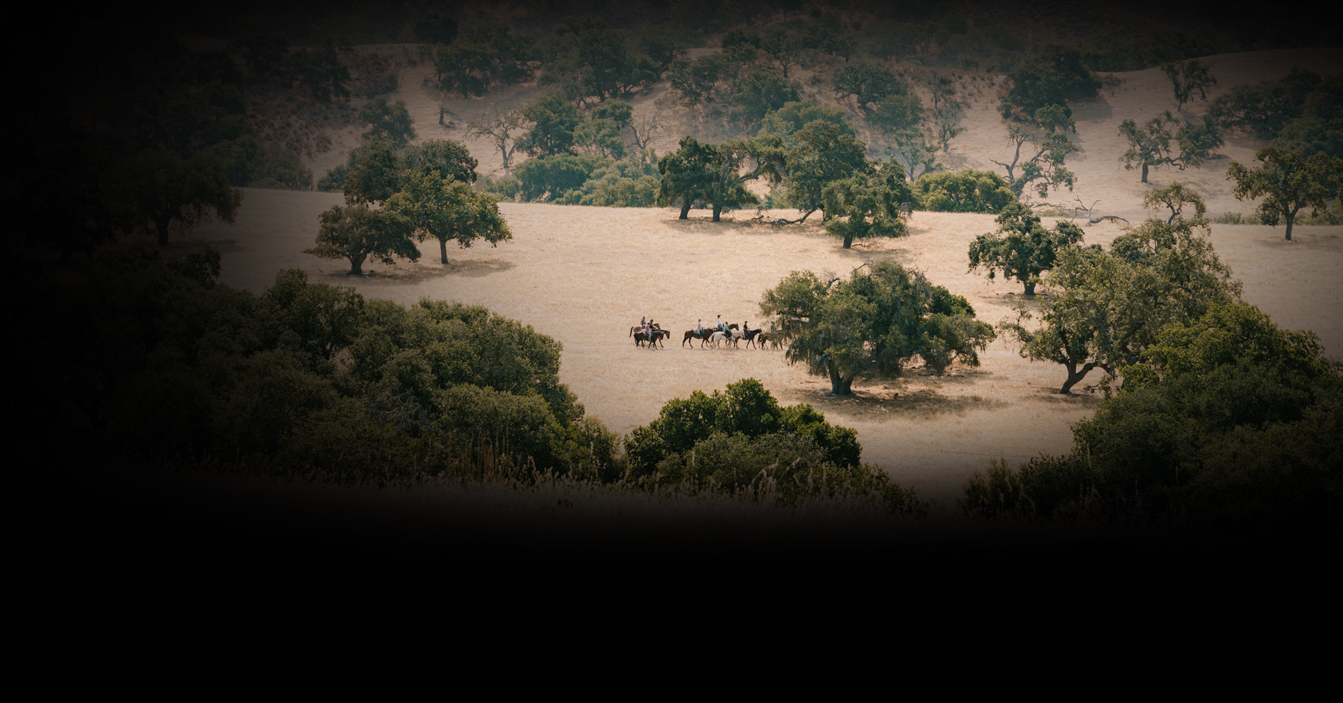 people riding horses in the valley