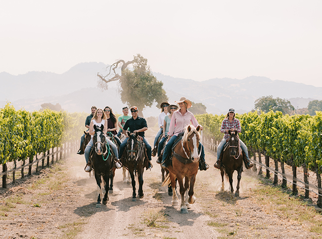 a group of people riding horses through a vineyard