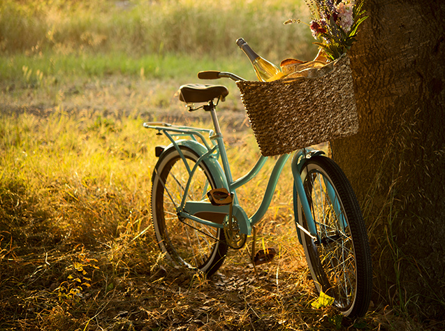 view of a bicycle with a basket parked next to a tree