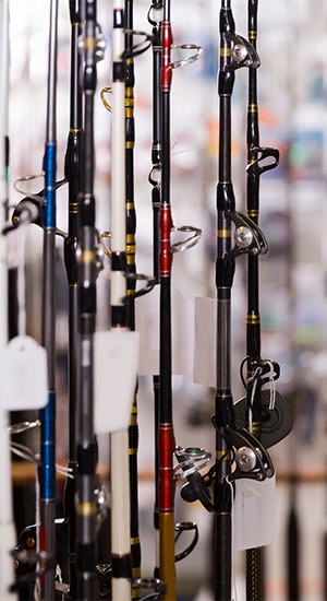 rows of upright fishing poles