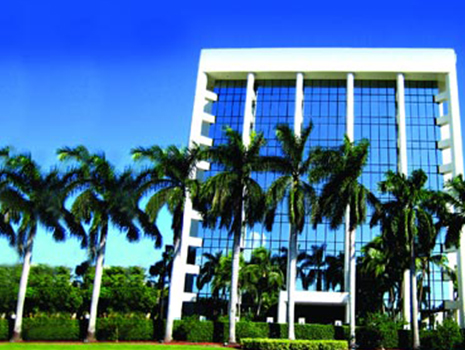 View of a large building surrounded by palm trees on a sunny day