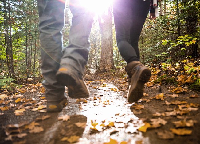 woman and man walking on leaves in the forest