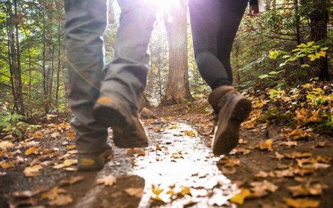 woman and man walking on leaves in the forest