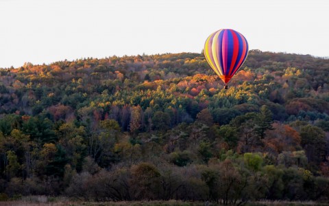 hot air balloon over fall foliage