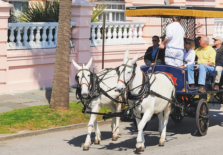 horse drawn carriage through Charleston