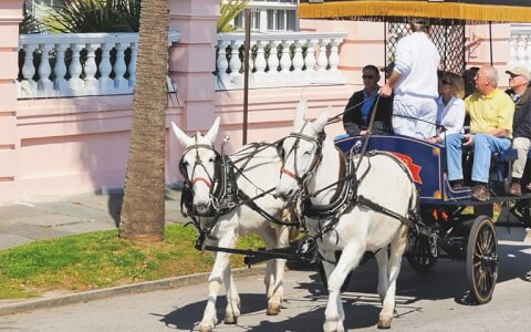 horse drawn carriage through Charleston