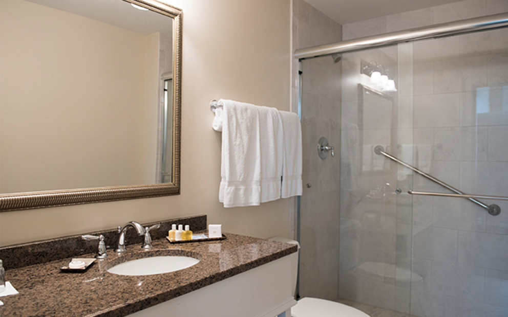 Bathroom with granite vanity sink, large golden framed mirror & glass door shower