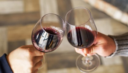 two people making a toast with red wine