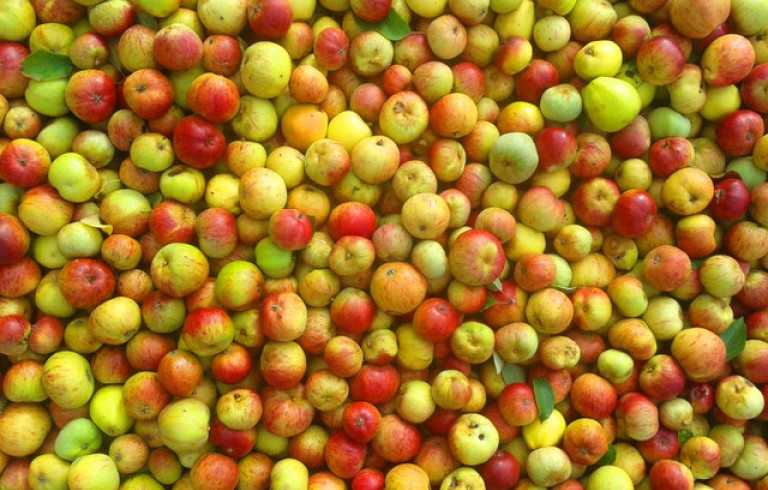 Apples