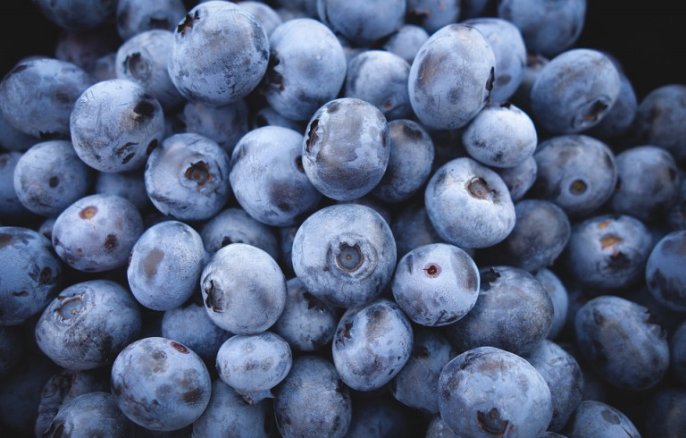 Fresh Blueberries in a pile