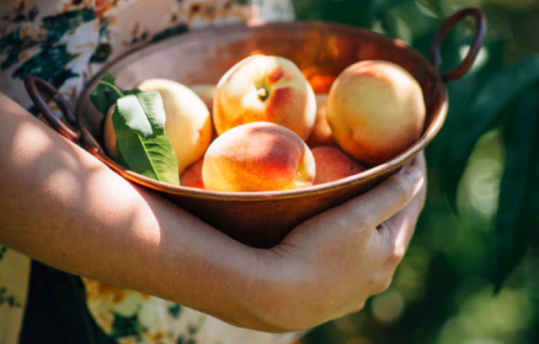 Person holding a bowl of peaches