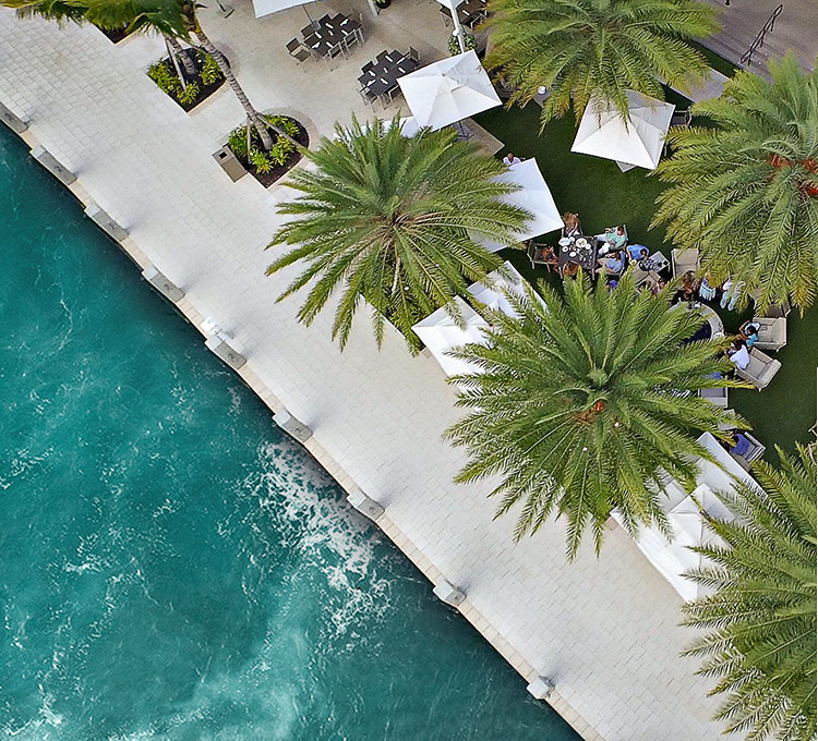 aerial view of a waterfront outdoor patio space covered with large palm trees