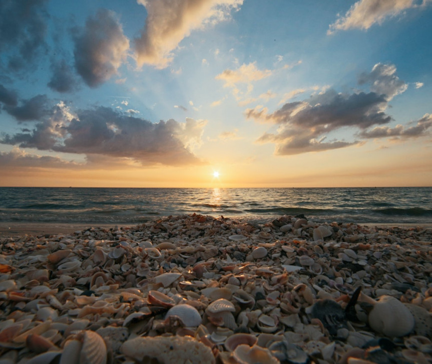 a beach sunset over seashells