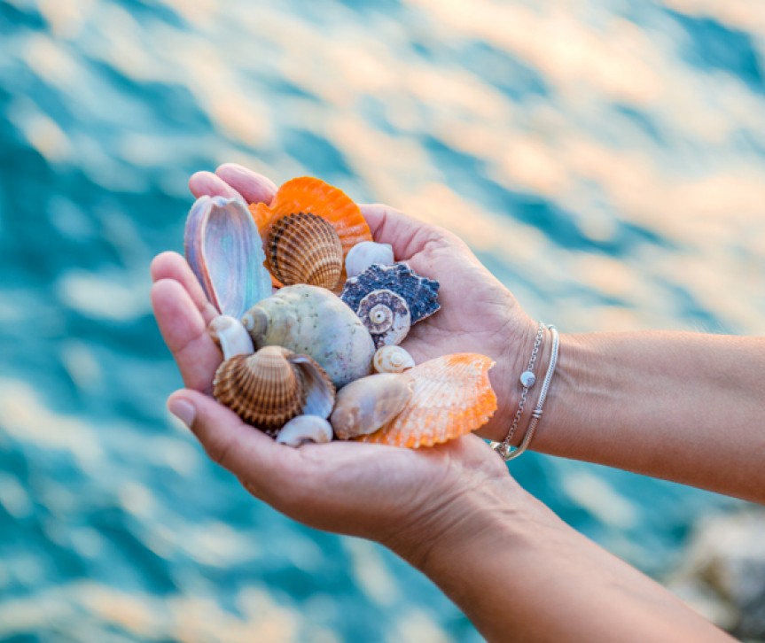 woman holding seashells