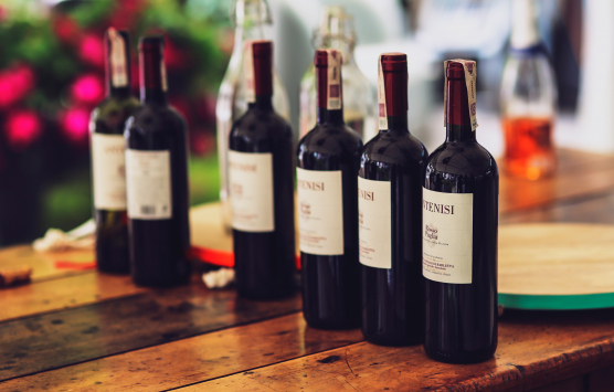 The Hidden Vine: A Dionysian Delight