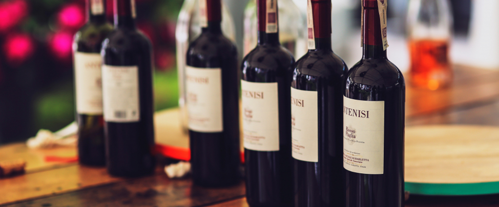 The Hidden Vine: A Dionysian Delight