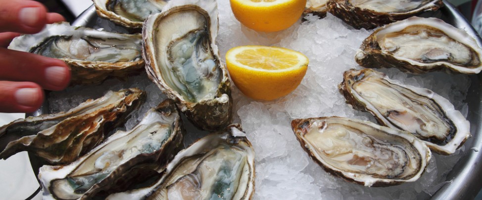 Happy Hour on the Half Shell