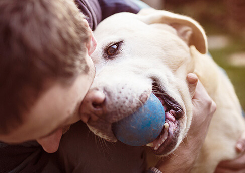 We Love Your Pet