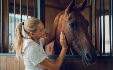 View of a blonde woman petting a horse