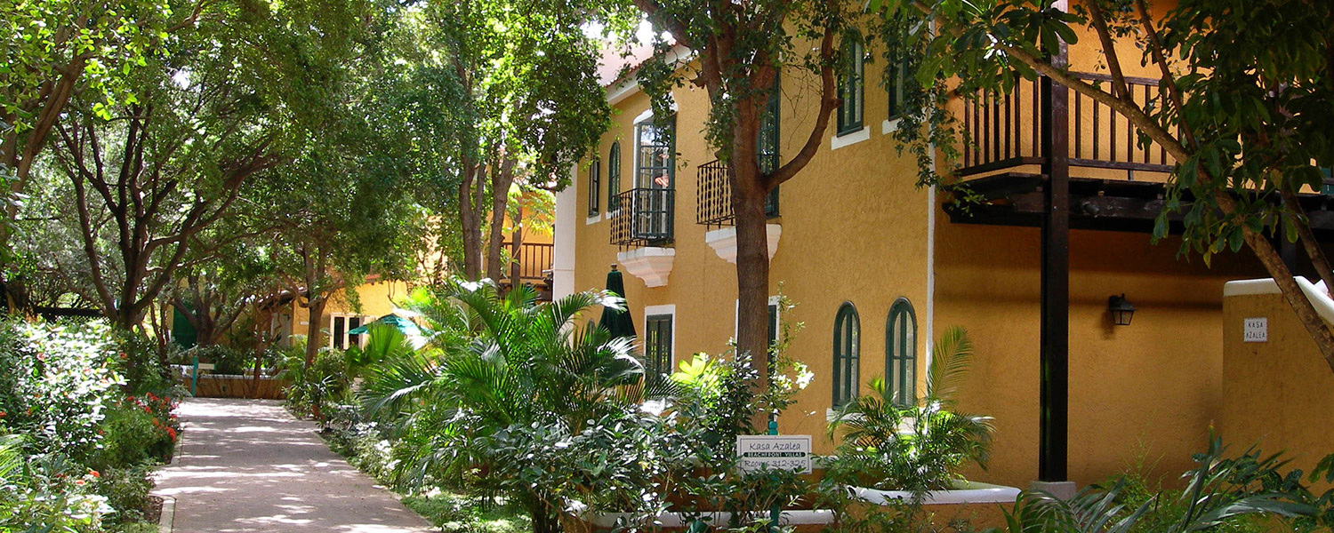 yellow two story buildings and lush greenery