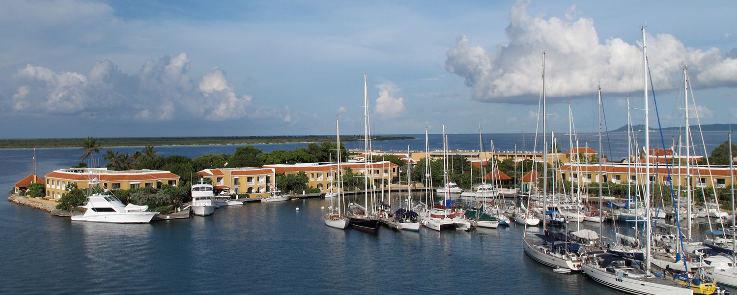 marina with multiple large sailboats in the distance