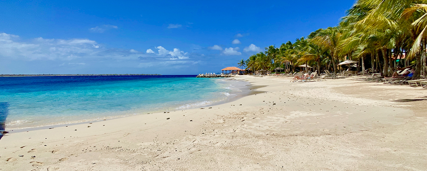 white sandy beach with clear ocean waters