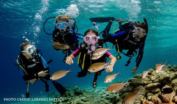 divers in the water looking at coral