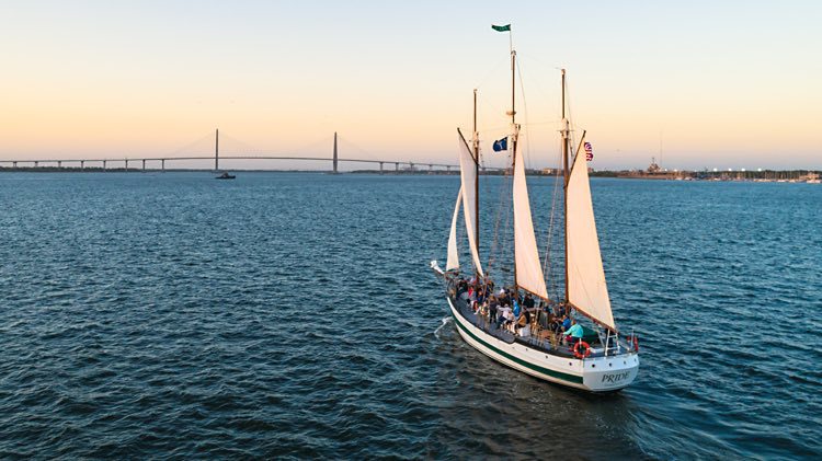 harbour view offers new
