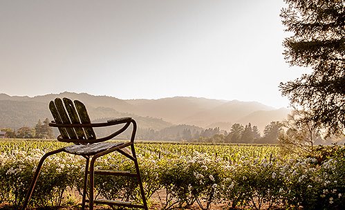 Chair overlooking vineyards & mountains