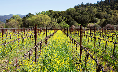 Harvest Excursion