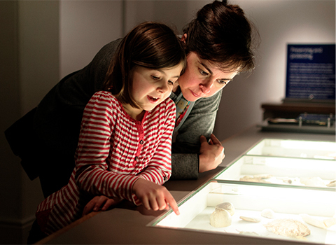 little girl with a woman looking at artifacts in the museum