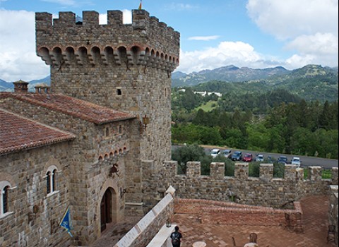 castle overlooking mountains and vineyards