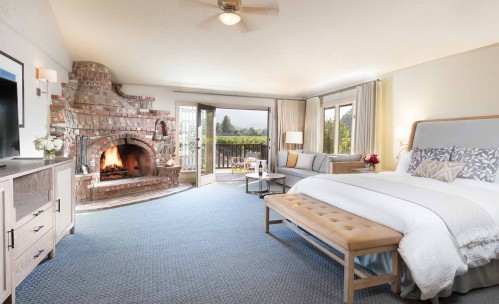 suite room with king bed, fireplace, couch, and a vineyard view