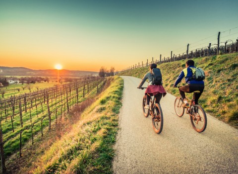 sunset bike ride in vineyard