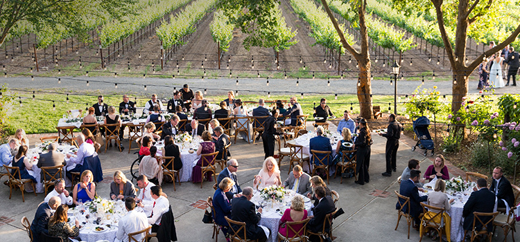 families eating at round tables next to vineyard
