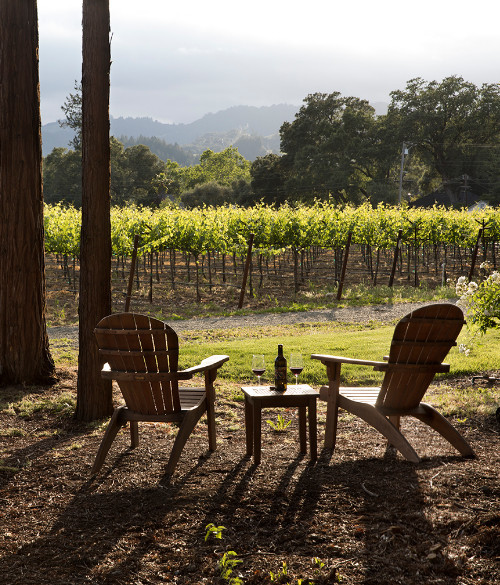 hviquad two chairs among tall trees overlooking a vineyard